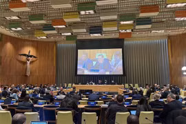 越南常驻联合国代表团团长邓黄江大使在会上发言。图自越通社