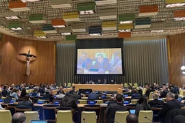 越南常驻联合国代表团团长邓黄江大使在会上发言。图自越通社