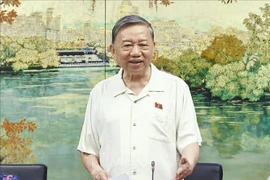 越共中央总书苏林出席会议并发表讲话。图自越通社
