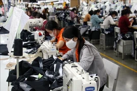 1月份，工业生产指数（IIP）增长0.6％。图自越通社