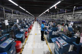位于顺化市真云-陵姑经济区的韩国一家针织产品出口公司。图自越通社