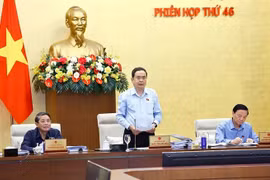 越南国会主席陈青敏在会议上发表讲话。图自越通社