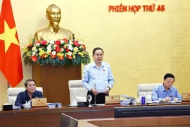 越南国会主席陈青敏在会议上发表讲话。图自越通社