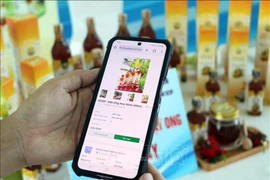 电子商务背景下的知识产权保护是一个值得关注的问题。图自越通社