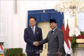印度尼西亚总统普拉博沃·苏比安托在雅加达会见泰国总理阿努廷·参威拉军。图自越通社