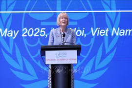 澳大利亚驻越南大使吉莉安·伯德。图自越通社