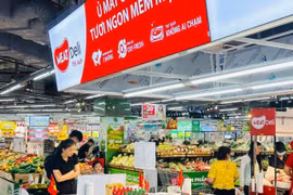 河内市促销活动期间，系列大型零售连锁店将推出各类促销活动。图自越通社