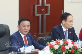 越共中央政治局委员、中央书记处常务书记陈锦秀在与老挝人民革命党中央政治局委员、中央书记处常务书记维莱·拉坎丰举行的会谈上发表讲话。图自越通社