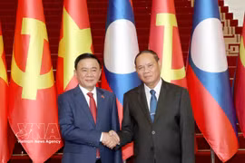 越共中央政治局委员、中央书记处常务书记陈锦秀与老挝人民革命党中央政治局委员、中央书记处常务书记维莱·拉坎丰。图自越通社