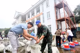 2025年越南红十字会为受灾群众援助超1.2万亿越盾。图自越通社