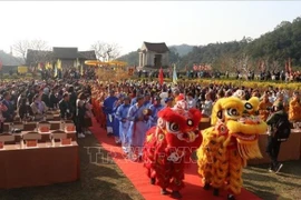 安子春节庙会开庙仪式。图自越通社