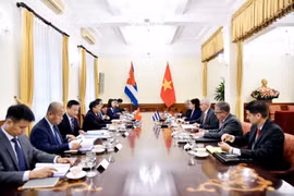 7月24日，第八次越南外交部与古巴外交部政治磋商在河内举行。图自越通社