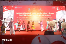 在新加坡举行的越南传统艺术表演节目。图自越通社