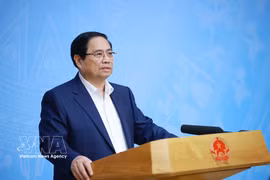 越南政府总理范明政11日上午主持召开关于世界"银发经济"发展及越南政策战略适应的会议。图自越通社