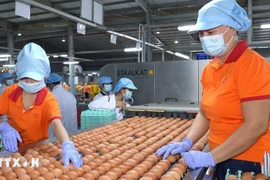 附图。图自越通社