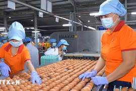 附图。图自越通社