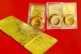 附图。图自越通社