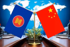 附图。图自CFP