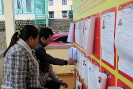 选民了解候选人的信息。图自越通社