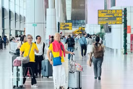 外国游客在新山一国际机场入境越南。图自越通社