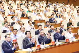 苏林总书记和各位领导代表出席会议。图自越通社