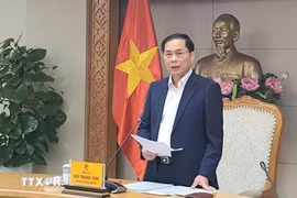 政府副总理裴青山担任指导委员会主任。图自越通社