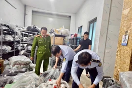 附图。图自越通社