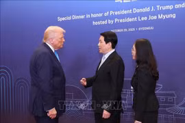 越南国家主席梁强与美国总统特朗普。图自越通社
