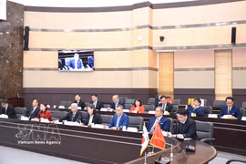 出席座谈的越南代表团。图自越通社