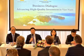 财政部副部长阮德心解答丹麦企业的提问。图自越通社