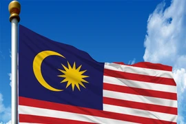 马来西亚的国旗、图自互联网