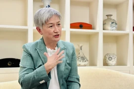 澳大利亚外交部长黄英贤接受记者的采访。图自越通社
