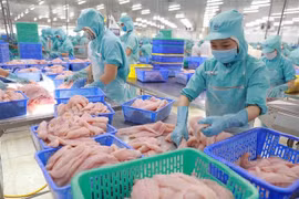越南水产业在新加坡市场实现增长突破。图自越通社