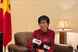 越南常驻东盟代表团团长孙氏玉香大使接受越通社驻印尼记者采访。图自越通社