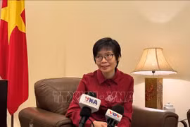 越南常驻东盟代表团团长孙氏玉香大使接受越通社驻印尼记者采访。图自越通社