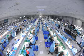 附图。图自越通社