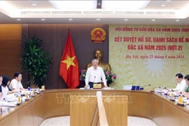 越南政府常务副总理、2025年特赦咨询委员会主席阮和平主持召开会议。图自越通社
