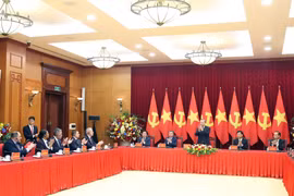 越共中央总书记苏林会见多国政党代表团团长。图自越通社