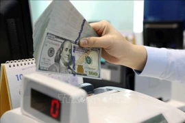 附图。图自越通社