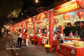 胡志明市：丙午年春节“水岸繁市”迎春花市正式开幕。图自越通社