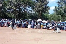 西宁省职能部门接收由柬埔寨执法部门移交的353名越南公民。图自越通社