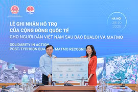 阮黄协副部长接受联合国的援助。图自越通社