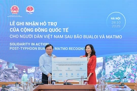 阮黄协副部长接受联合国的援助。图自越通社