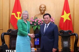 阮春胜教授会见了澳大利亚驻越南大使吉莉安·伯德。图自越通社
