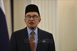 马来西亚总理安瓦尔·易卜拉欣。图自越通社