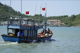 附图。图自越通社