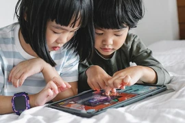 附图。图自Asurion