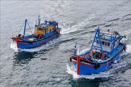 附图。图自越通社