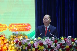 金瓯省委书记阮胡海在会上发言。图自越通社