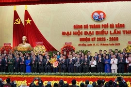 越共岘港市第一次代表大会与会代表合影。图自越通社
